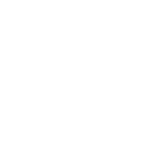 Ashish Motors